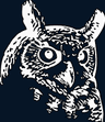 Night Owl